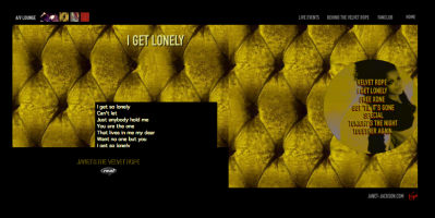 janet_website_velvetrope_28429.png