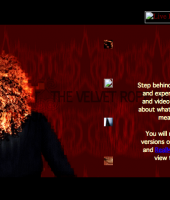 janet_website_velvetrope_281229.png