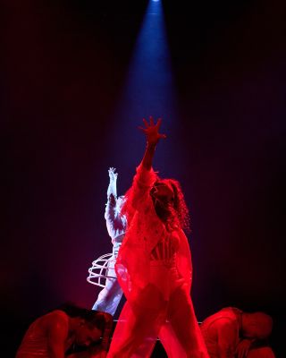 Click to view full size image
==============
jj_JanetJapanTour_202600018.jpg jj_JanetJapanTour_202600018.jpg