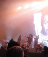 jj_Janet-SOTW_OutsideLands_SanFrancisco_4.jpg