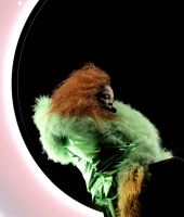 jj_JanetMetamorphosisVegas_PRO_02.jpg