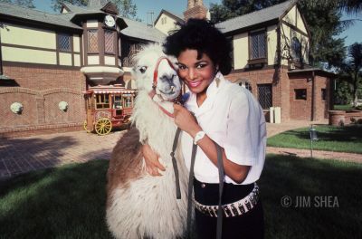 JANET-JACKSON_JIMSHEA1.jpg