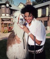 JANET-JACKSON_JIMSHEA1.jpg